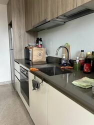 Park Place Residences At Plq (D14), Apartment #508741191